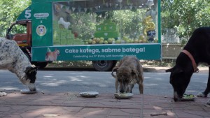 forpressrelease